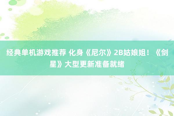 经典单机游戏推荐 化身《尼尔》2B姑娘姐！《剑星》大型更新准备就绪