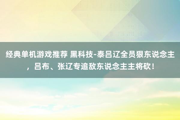 经典单机游戏推荐 黑科技-泰吕辽全员狠东说念主，吕布、张辽专追敌东说念主主将砍！