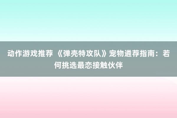 动作游戏推荐 《弹壳特攻队》宠物遴荐指南：若何挑选最恋接触伙伴